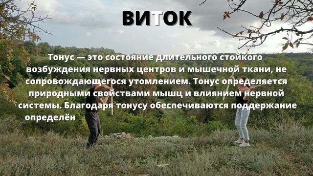 Методика Виток 2022 упражнения с гимнастическими палками #гимнастика_виток #координация_движений