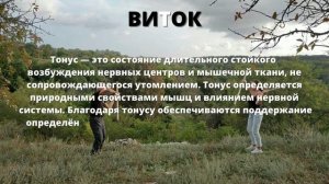 Методика Виток 2022 упражнения с гимнастическими палками #гимнастика_виток #координация_движений