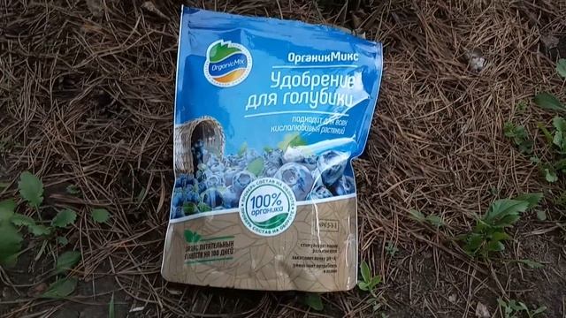 Мои покупки! Органическое удобрение для голубики. Июнь, а астра уже цветет! Можжевельник Блю Карпет смотреть онлайн