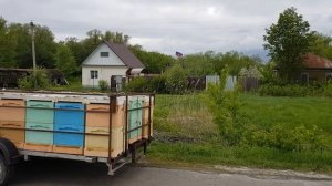Бибокс и прицеп для пчёл.