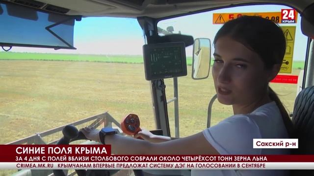 В Сакском районе началась уборочная кампания масличных культур