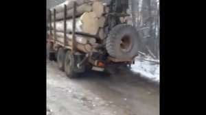 татра 8х8 лесовоз