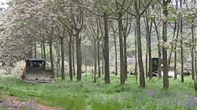 Dozers clearing trees. смотреть онлайн