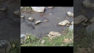 село Топольное Алтай