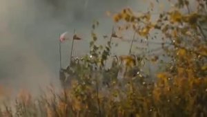 Winged Hussars ⧸ Polish-Lithuanian Commonwealth & Traditional War Song