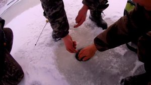 налим на блесну киллер лед 2020-2021