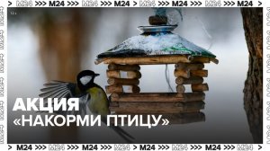 Акция "Накорми птицу" стартовала в Москве - Москва 24