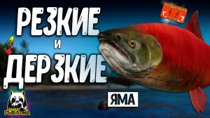 РР4/ рыбалка для души, ловим как универсал, общаемся 27.12.23