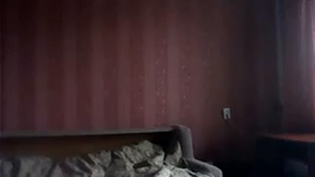 Видео с веб-камеры-SONY. Дата: 5 декабря 2012 г., 10:03. смотреть онлайн