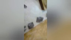 Пилкеры "на треску" своими руками