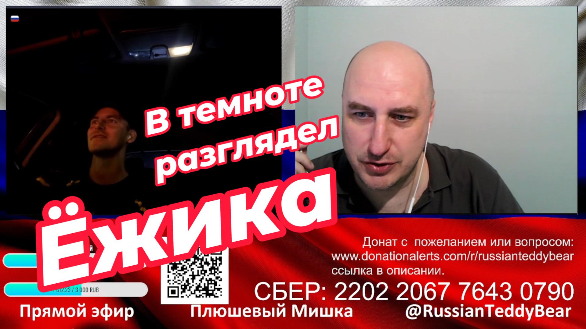 Ёжик ZOV. Видео 121