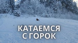 Токсово. Катаемся с горок 2021 год