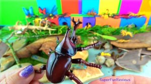 Learn Insects - Scary Bugs Creepy Spiders Kids toys - FUN Ending -Educational