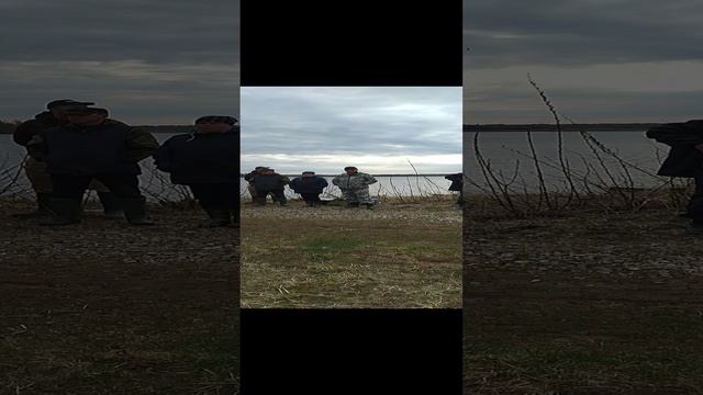 Общий сбор смотреть онлайн