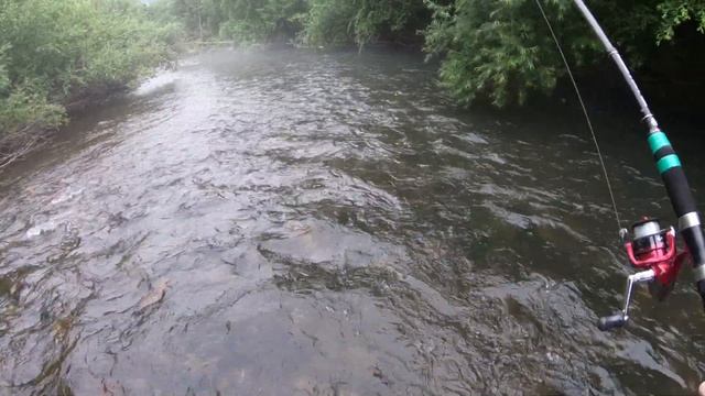 Рыбалка в Приморье. Дорога на рыбалку. Река Дорожная. 23 - 24.07.2019 г. Хариус.