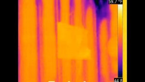 Термограммы с тепловизора