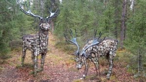 Обзор- Усинск Республики Коми.