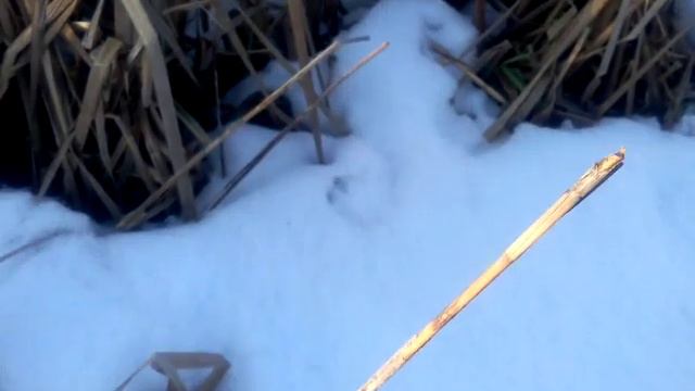 Природа, тайга, охота, рыбалка, болото.. смотреть онлайн