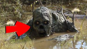 Самые страшные видео, которые вы не должны смотреть