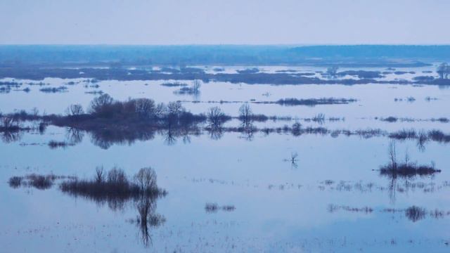 Разлив, Трубчевск (09.04.2023) смотреть онлайн