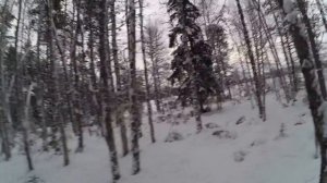 Остров на котором жили (Карелия, деревня Войница)