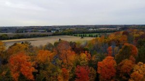 2020 Fall Colors Drone Project - Mequon Wisconsin