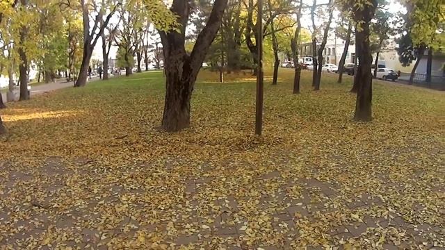 Осенний Новороссийск!#осень #новороссийск #улицыгорода #природа #прогулка