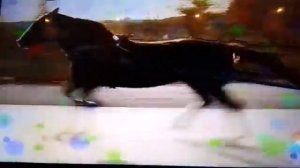 Пуни сиванки