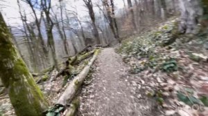 Тропа здоровья (Роза Хутор), прохождение с препятствиями