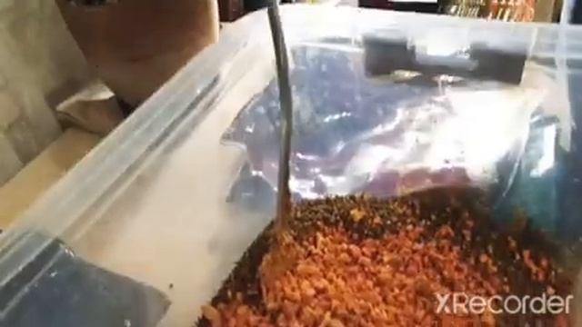 Как правильно готовить СТИК-МИКС для ловли крупного карпа!!!