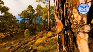 Какой должна быть наша цель Абу Ханзала