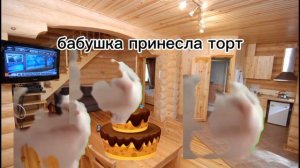 кошачья жизнь (9 часть)