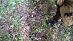 Копаем металлолом вдоль железной дороги . СУПЕРКОП.