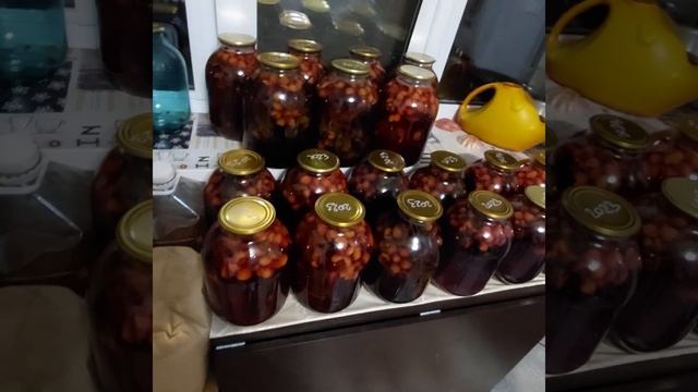 закрыла вишнёвый компот смотреть онлайн