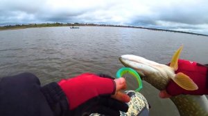 Осенний трофей! Трофейная щука на спиннинг. Осенняя рыбалка. Где искать хищника. Рыбалка осенью