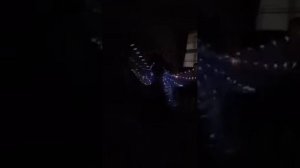 Танец живота со светодиодными крыльями