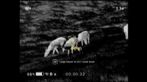 Conotech Tracer 35LRF Pro