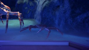 Краб-стригун