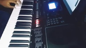 Rammstein - Spiel Mit Mir Keyboard Cover