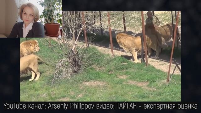 О ДИЧАЙШЕЙ ПРИРОДЕ КРЫМСКОЙ САВАННЫ. ТАЙГАН.