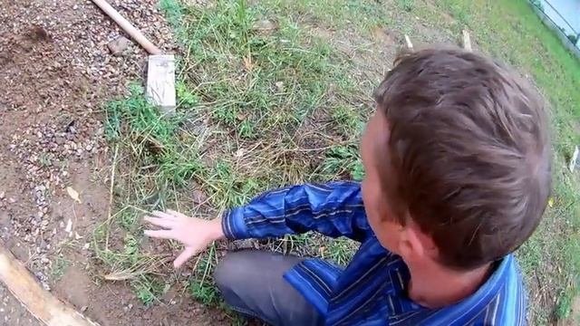 Как сделать отмостку и почему я делаю ее без гидроизоляции и утепления?!