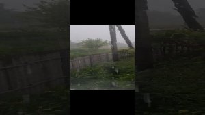 1000023386.mp4
