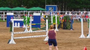 Орловский рысак. Преодоление препятствий на лошади орловской рысистой породы.