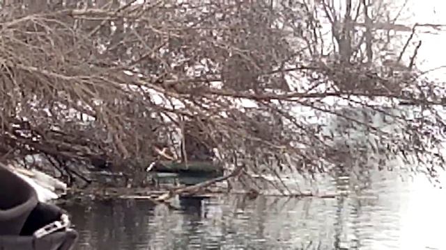 До ужаса наглые браки. смотреть онлайн