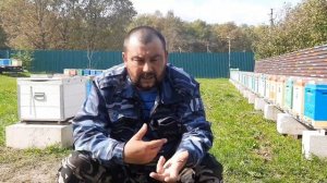 ИЗОЛЯЦИЯ МАТОК- НЕ ТАК ВСЁ ПРОСТО!!!!!