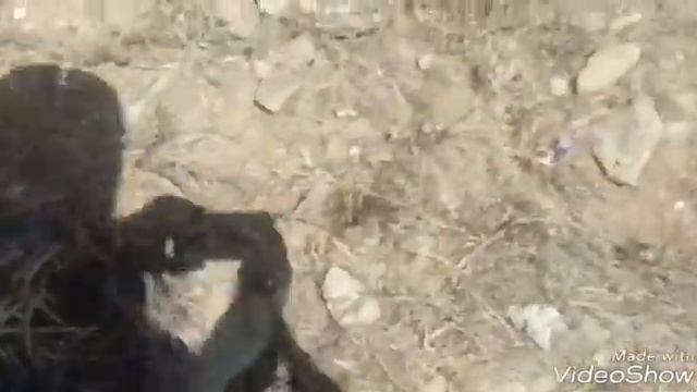 20 04 2018.Краткий взгляд на российскую глубинку.Агинское с высоты птичьего полета.глазами приезжег смотреть онлайн