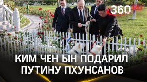 Путину подарили пхунсанов – корейских собак, которые могут загнать тигра