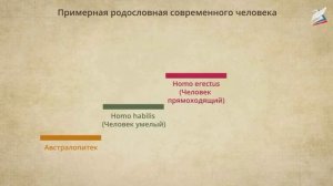 5 класс история урок 3 Первобытные собиратели и охотники