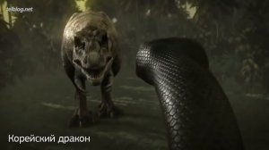 5 Мифических Существ, Которые Возможно СУЩЕСТВУЮТ!