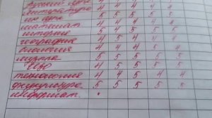 На семейном образовании оценки особо и не нужны